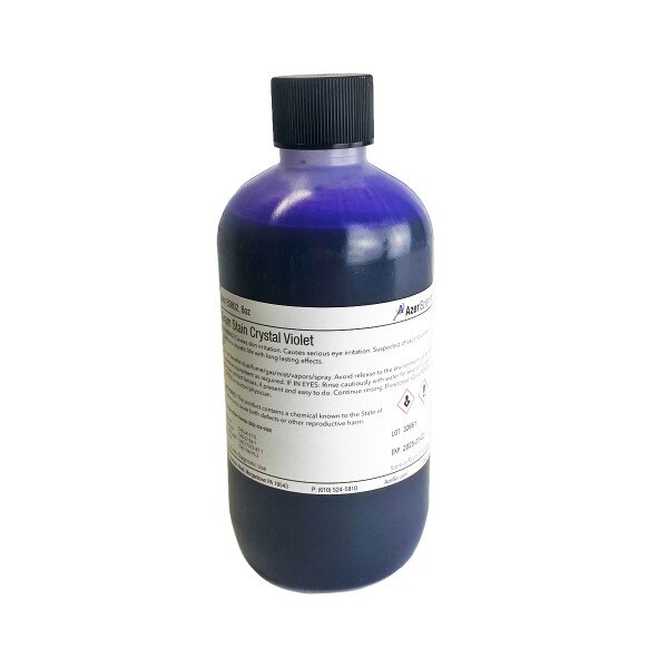 Gram Stain Kit, Crystal Violet